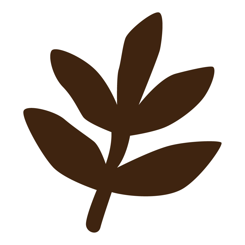 Icon 1