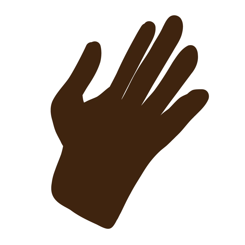 Icon 2