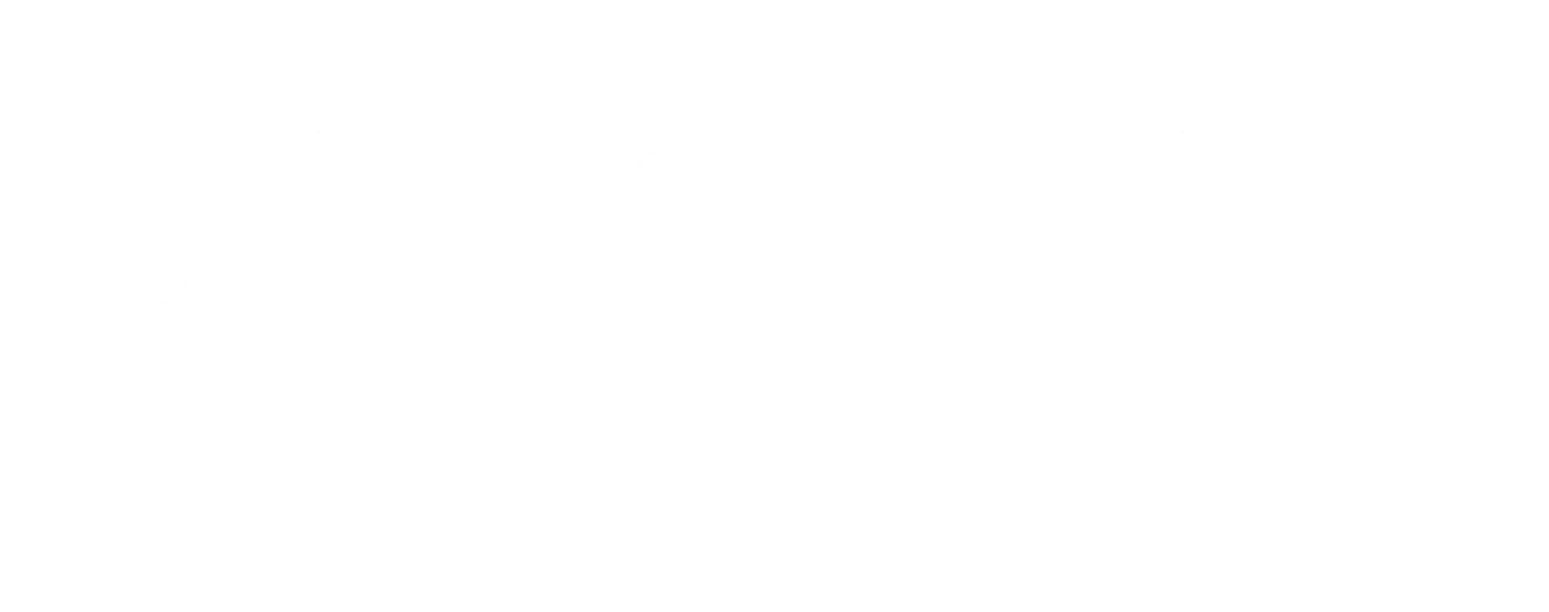 Reset Logo White
